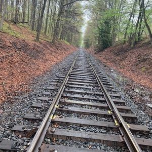 Meet your Posher, Faith